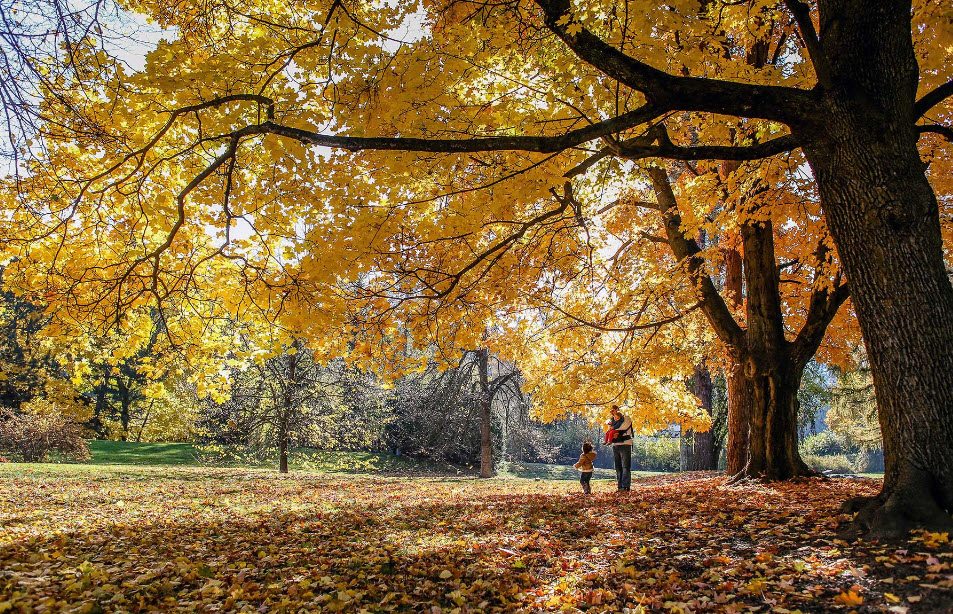 John A. Finch Arboretum, United States
